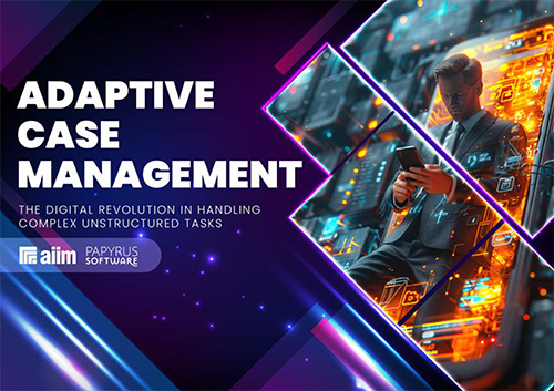 Excellence in Adaptive Case Management eBook cover